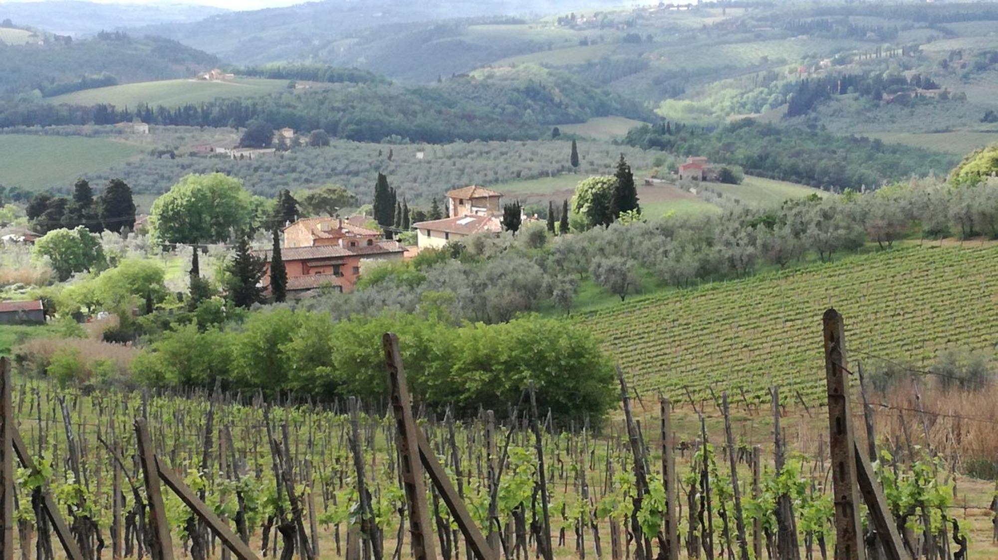 Agriturismo Podere la Cava Mercatale Val Di Pesa Esterno foto