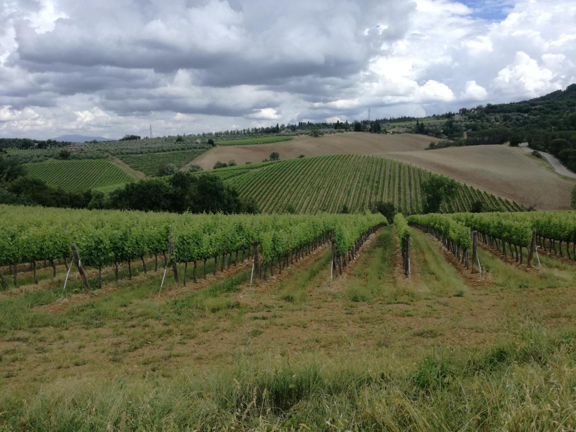 Agriturismo Podere la Cava Mercatale Val Di Pesa Esterno foto